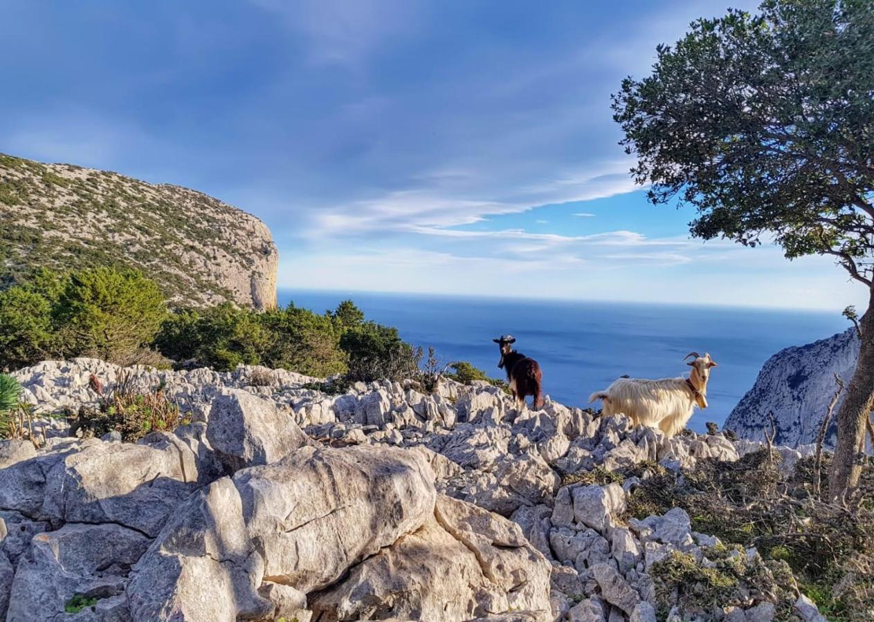 Appartamento Tra Mare E Montagna 바우네이 외부 사진